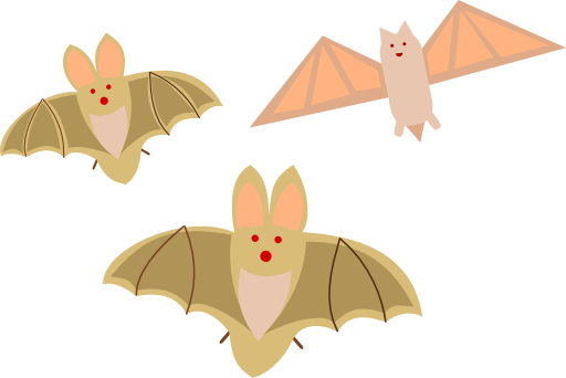 Bat