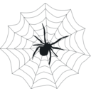 download Spider Web clipart image with 180 hue color