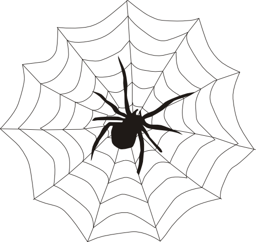 Spider Web
