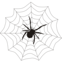 Spider Web