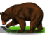 Colored Bear