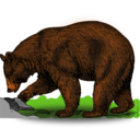 Colored Bear