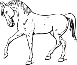 Walking Horse Outline