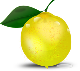 Lemon Photorealistic