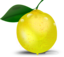 Lemon Photorealistic