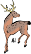 Sika Deer