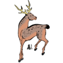 Sika Deer