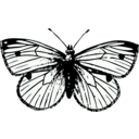 download Cabbage Moth clipart image with 90 hue color
