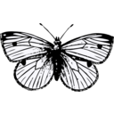 download Cabbage Moth clipart image with 180 hue color