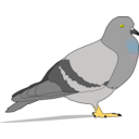 download Pigeon clipart image with 45 hue color