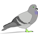 download Pigeon clipart image with 90 hue color