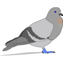 download Pigeon clipart image with 225 hue color