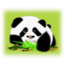 download Panda clipart image with 0 hue color