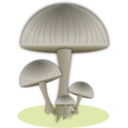 download Mushroom clipart image with 45 hue color