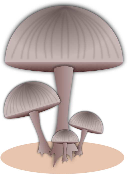 Mushroom