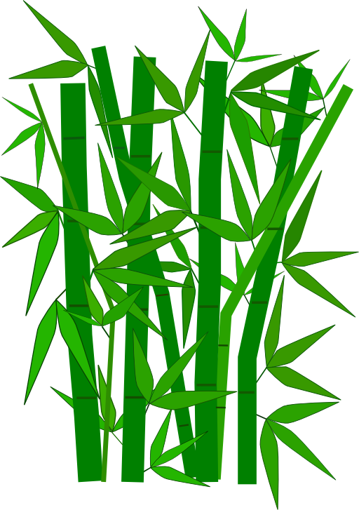 Bamboo Graphic
