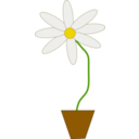 download Flower In A Pot clipart image with 0 hue color