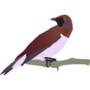 download Exotical Bird clipart image with 45 hue color