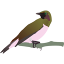 download Exotical Bird clipart image with 90 hue color