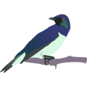 download Exotical Bird clipart image with 270 hue color