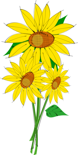 Helianthus