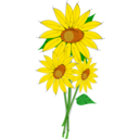 download Helianthus clipart image with 0 hue color