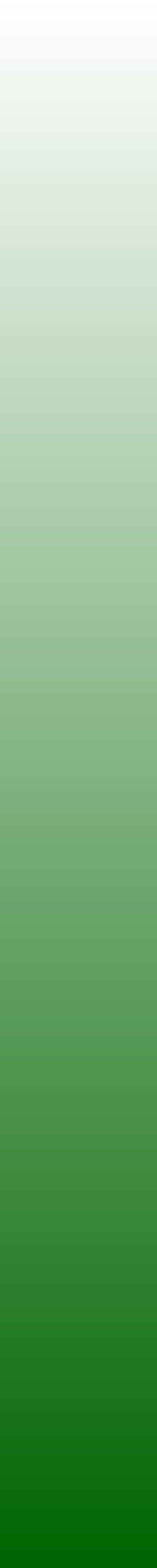 Ws Gradient Darkgreen