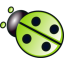 Green Ladybug