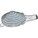 download Clam clipart image with 180 hue color