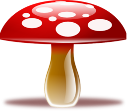 Mushroom