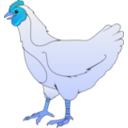 download Ayam Betina clipart image with 180 hue color