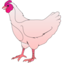 download Ayam Betina clipart image with 315 hue color