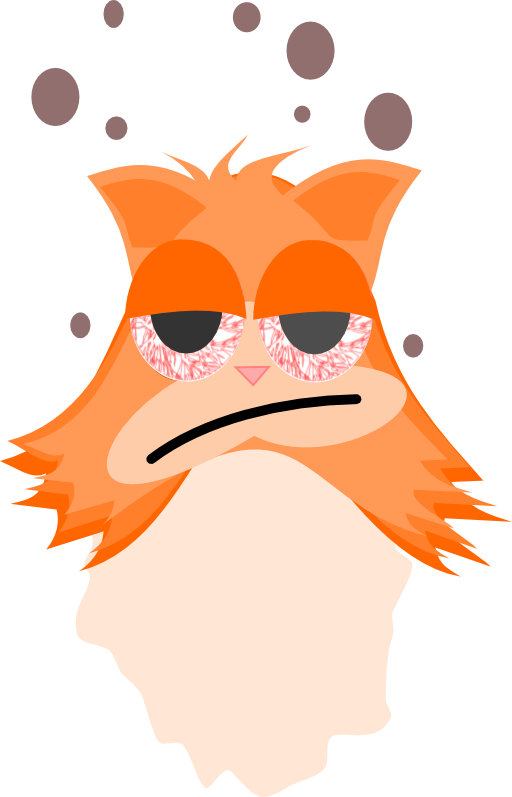 Insomnious Cat