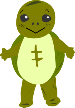 Turtle Character