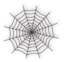 Halloween Spider Web Icon