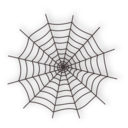 Halloween Spider Web Icon