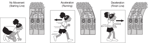 58294main The Brain In Space Page 36 Kids Running