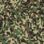 Woodland Camouflage