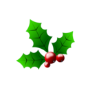 Holly Berries