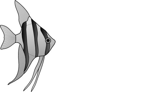 Angelfish