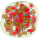 download Basophil clipart image with 90 hue color