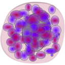 Basophil