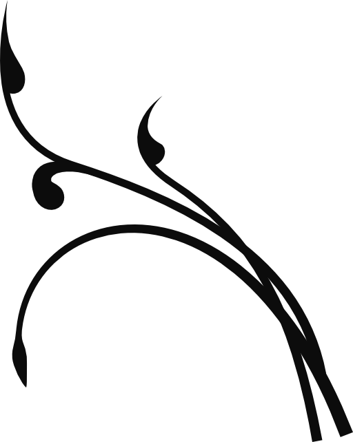Twisted Branch 3