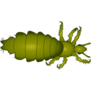 download Louse clipart image with 45 hue color