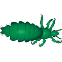 download Louse clipart image with 135 hue color