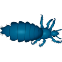 download Louse clipart image with 180 hue color