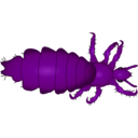 download Louse clipart image with 270 hue color