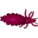 download Louse clipart image with 315 hue color