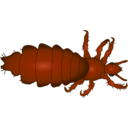 download Louse clipart image with 0 hue color