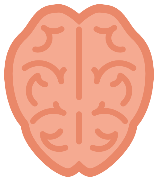 Brain